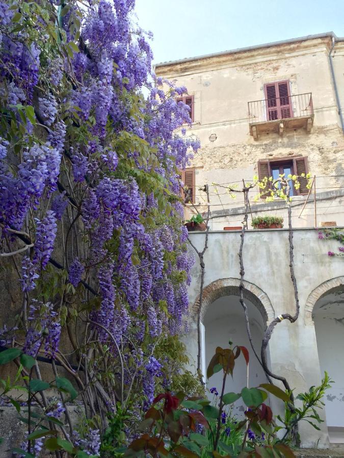 Bed and Breakfast Palazzo De Fabritiis Rosciano  Exteriér fotografie